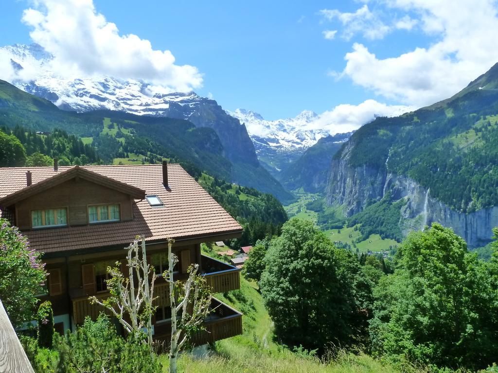 Chalet Gerbera Wengen Exterior foto