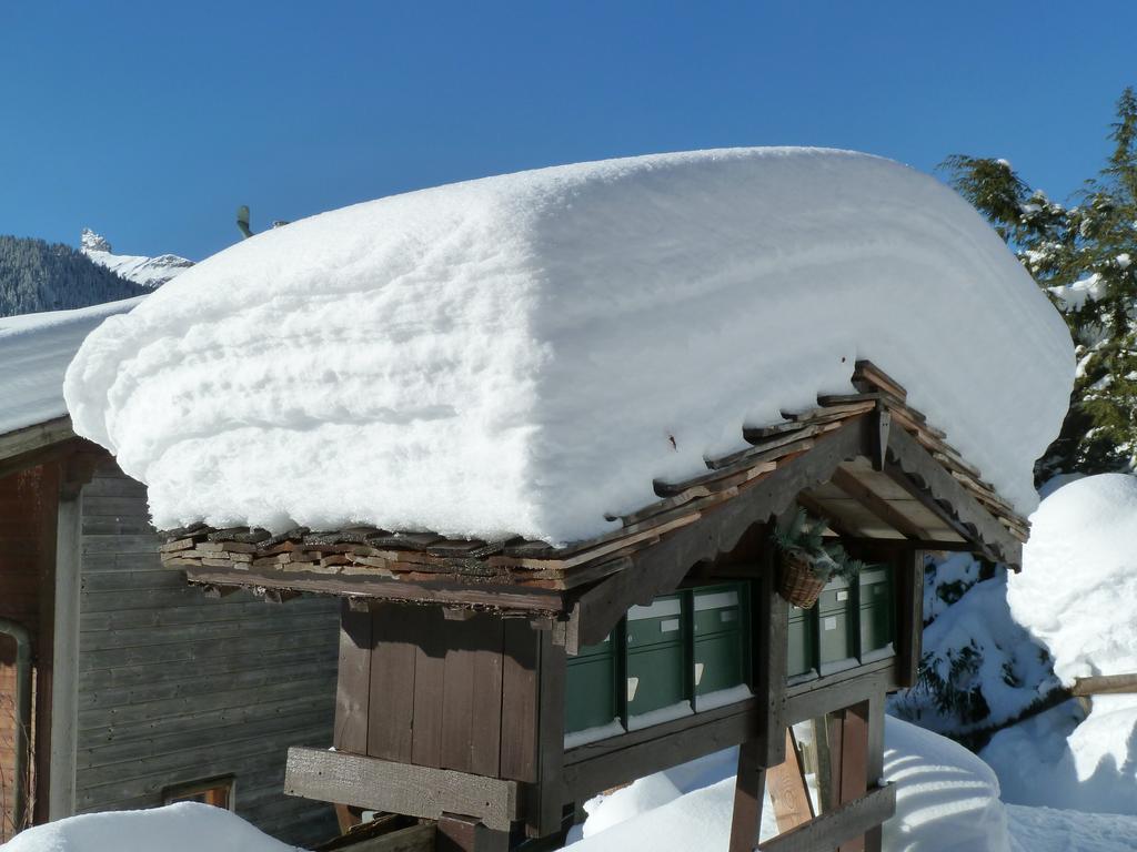 Chalet Gerbera Wengen Exterior foto