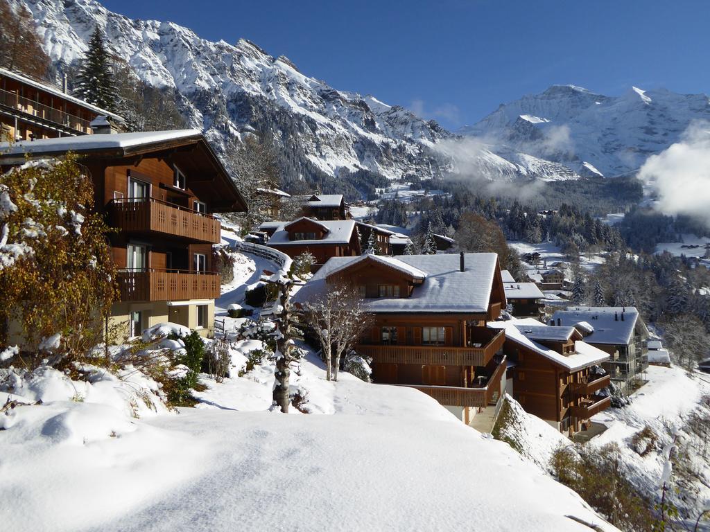 Chalet Gerbera Wengen Exterior foto